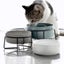 Double Cat Food Water Bowls with Stand Ceramic Pet Feeding Accessories Ca CHK12N Carousel 2