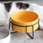 Double Cat Food Water Bowls with Stand Ceramic Pet Feeding Accessories Ca CHK12N Carousel 4
