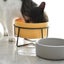 Double Cat Food Water Bowls with Stand Ceramic Pet Feeding Accessories Ca CHK12N Carousel 5