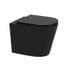 MATT BLACK SLIM BACK TO WALL PAN PACKAGE Carousel 4