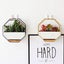 Hanging Geometric Wall Planter Freestanding Desk Succulent Planter (Black) Carousel 5