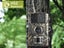 1080P Trail Game Hunting Camera For Outdoor Wildlife Hunting and Farm Monitoring Carousel 3