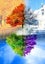 5D Diamond Painting Kit Parrot Deer Animal Mosaic DIY Dandelion Diamond E CHK12N Carousel 9