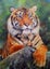 5D Diamond Painting Kit Parrot Deer Animal Mosaic DIY Dandelion Diamond E CHK12N Carousel 10