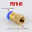 PCF Air Pipe Fitting 4 6 8 10 12mm Hose Tube 1/8" 3/8" 1/2" BSP 1/4" Fema CHK12N Carousel 12