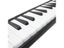 Accordion Strap Carousel 4
