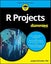 R Projects For Dummies by Joseph Schmuller - Paperback Carousel 1