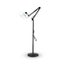 Special Tattoo LED Carousel 5