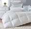 Dreamz 500GSM All Season Goose Down Feather Filling Duvet in Super King Size Carousel 3