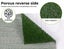 Pawz Indoor Dog Potty Training Tray Pet Grass Toliet Loo 2x Mat Large Portable Carousel 4