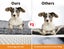 Pawz Dog Mat Pet Calming Bed Memory Foam Orthopedic Removable Cover Washable M Carousel 4