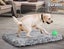 Pawz Dog Mat Pet Calming Bed Memory Foam Orthopedic Removable Cover Washable M Carousel 6