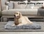 Pawz Dog Mat Pet Calming Bed Memory Foam Orthopedic Removable Cover Washable M Carousel 7