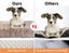 Pawz Pet Calming Bed Memory Foam Orthopedic Removable Cover Washable M Coffee Carousel 4
