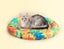 Pawz Pet Cooling Mat Dog Bed Cat Summer Self-cold Gel Maple leaves-Round M L Carousel 4