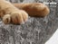Pawz Dog Couch Protector Furniture Sofa Cover Cushion Washable Removable Cover L Carousel 6