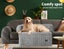 Pawz Dog Couch Protector Furniture Sofa Cover Cushion Washable Removable Cover L Carousel 7