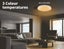 Emitto 3-Colour Ultra-Thin 5CM LED Ceiling Light Modern Surface Mount 60W Carousel 4