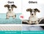 Pawz Pet Calming Bed Memory Foam Removable Cover Washable Green S M L XL XXL Carousel 4