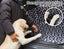 Pawz Pet Boot Car Seat Cover Hammock Nonslip Dog Puppy Cat Waterproof Rear Large Carousel 4