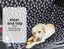 Pawz Pet Boot Car Seat Cover Hammock Nonslip Dog Puppy Cat Waterproof Rear Large Carousel 6