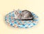 Pawz Pet Cooling Mat Dog Bed Cat Summer Self-cold Gel Starfish-Round M L Carousel 4