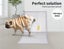 Pawz 100x Pet Dog Toilet Training Pad Puppy Potty Pee Mat Super Absorbent60x60cm Carousel 6
