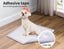 Pawz 100x Pet Dog Toilet Training Pad Puppy Potty Pee Mat Super Absorbent60x60cm Carousel 8