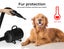 Dog Cat Pet Hair Dryer Grooming Blow Speed Hairdryer Blower Heater Blaster 2800W Carousel 6