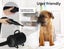 Dog Cat Pet Hair Dryer Grooming Blow Speed Hairdryer Blower Heater Blaster 2800W Carousel 8
