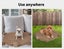 Pawz Pet Bed Cat Calming Beds Dog Squeaky Toys Cushion Puppy Kennel Mat Carousel 8