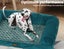 Pawz Pet Bed Sofa Dog Bedding Soft Warm Mattress Cushion Pillow Mat Plush L Carousel 7