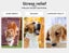 Pawz Dog Calming Bed Washable Removable Cover Double-Sided Navy M L XL 2XL 3XL Carousel 4