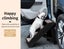 Pawz Pet Ramp Indoor Dog Steps Stair Portable Foldable Ladder For Bed Sofa Black Carousel 4