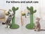 Cactus Cat Scratching Posts Pole Tree Kitten Climbing Scratcher Furniture Toys Carousel 4