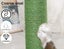 Cactus Cat Scratching Posts Pole Tree Kitten Climbing Scratcher Furniture Toys Carousel 5