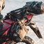 gallery view thumbnail