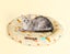 Pawz Pet Cooling Mat Dog Bed Cat Summer Self-cold Gel Sofa Carrot-Round M L Carousel 4