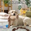 Pawz Dog Chew Toys Squeaky Puppy Pet Rope Plush Toy Teething 5 styles Carousel 7