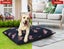 Pawz Dog Calming Bed Cat Pet Washable Removable Cover Navy S M L Carousel 7