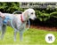 Pet Washer 360 Dog Cat Shower Hair Clean Kit Household Woof Wash Easy Tool Carousel 3