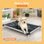 Pawz Pet Trampoline Aluminium Frame Bed Elevated Pillow Oxford Cloth Extra-Large Carousel 5