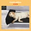 Pawz Pet Trampoline Aluminium Frame Dog Bed Elevated Raised Heavy Pillow Medium Carousel 3