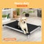 Pawz Pet Trampoline Aluminium Frame Dog Bed Elevated Raised Heavy Pillow Medium Carousel 5