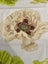 Vintage Designers Guild “Carmen” - 2.1m x 1.4m Carousel 3