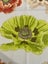 Vintage Designers Guild “Carmen” - 2.1m x 1.4m Carousel 5