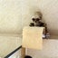 Creative Skull Toilet Paper Holder Wall Mounted Toilet Paper Storage Box CHK12N Carousel 6