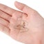 150Pcs/Set Stainless Steel Earring Hook Ear Wire with Silicone Earplugs K CHK12N Carousel 10