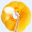 Pet Collar Anti-Bite Surgery Anti-Lick Wound Healing Protection Sunflower CHK12N Carousel 18