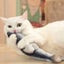 Cat Electric Fish Toy Pet 3D Simulation Fish Soft Plush Shaking Fish Toy CHK12N Carousel 5